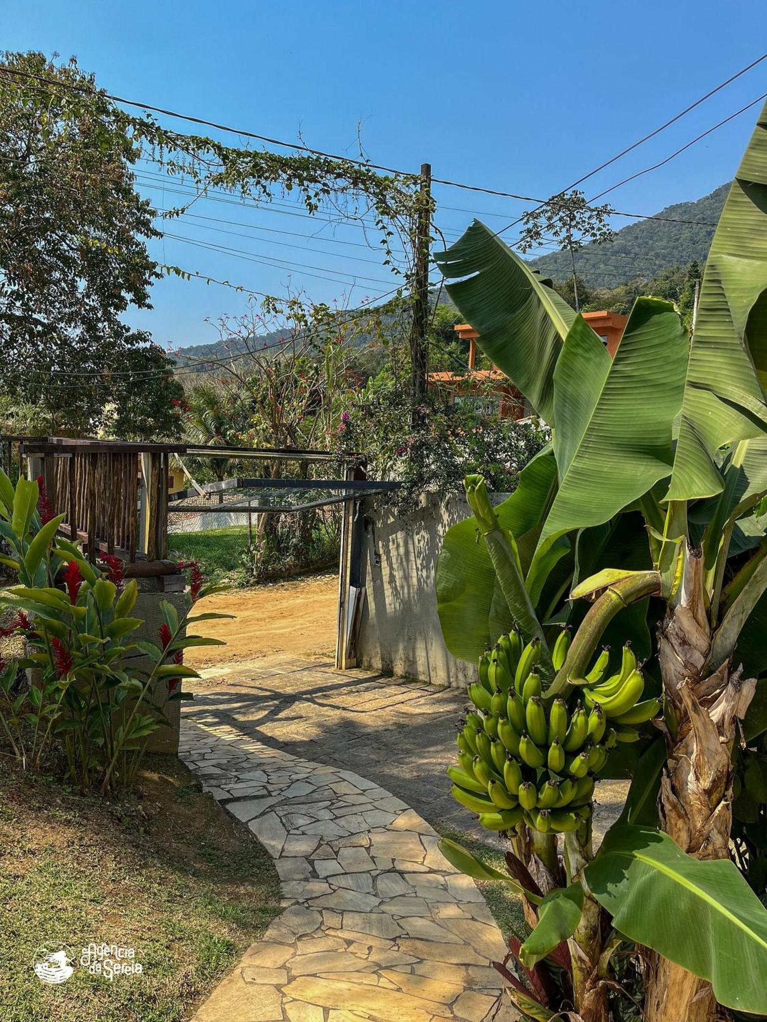 Bela Casa De 4 Suites Com Piscina E Vista - Curral إلهابيلا المظهر الخارجي الصورة